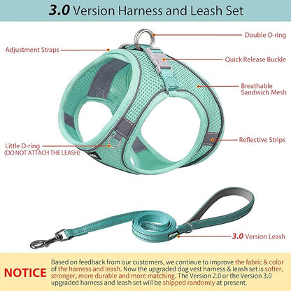 AIITLE Small Harness for Puppy with A Leash - Dog Vest Harness with Super Breathable Mesh, Reflective No-Pull Pet Harness for Outdoor Walking, Running for Small Dogs, Cats Pure Turquoise XXS