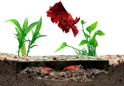 Shrimp Breeding Protector | Shrimp Breeding Cave Aquarium Tunnel | CTWPets (Forest Green)
