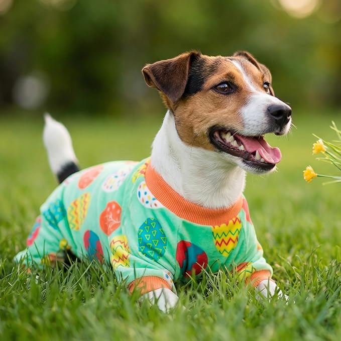 Fitwarm Easter Egg Dog Pajamas, Holiday Dog Clothes for Small Dogs Girl Boy, Pet Easter Outfit, Puppy Cat Onesie, Lightweight Velvet, Light Green, Orange, XS