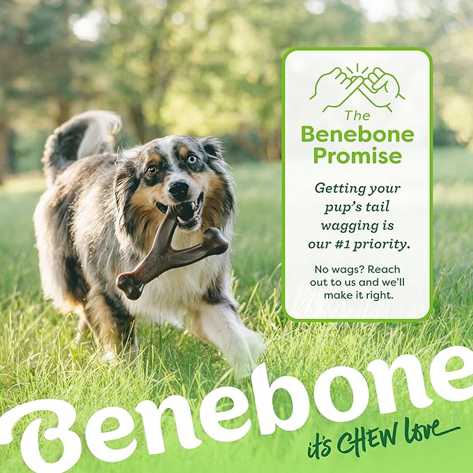 Large 3-Pack, Benebone Wishbone Durable Dog Chew Toy for Aggressive Chewers, Real Bacon, Chicken, Peanut Butter, Made in USA, Variety Pack