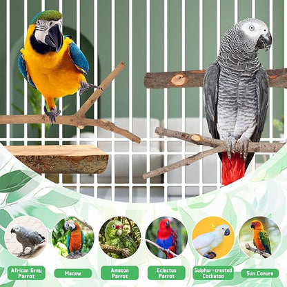 BILLIOTEAM 4-Pack Natural Wood Bird Perch Stand with Spacious Platform, Thick & Long Branches, Large Parrot Cage Accessories for African Grey, Macaws, Conures, Eclectus (Medium & Large Birds)