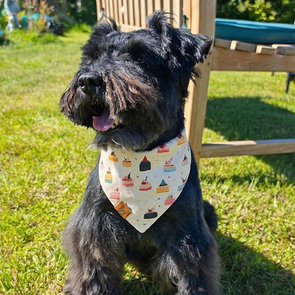 Birthday Dog Bandanas Medium Large, Colorful Cakes Stripes, Reversible Soft Breathable Adjustable Scarf for Small Medium Large Dogs Boy Girl Party Outfit Accessory FW5