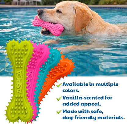 ASPCA 2-Pack Spiky TPR Puppy Teether Bones – Vanilla-Scented Teething Toys for Gum Relief, Gentle Chewing & Interactive Play
