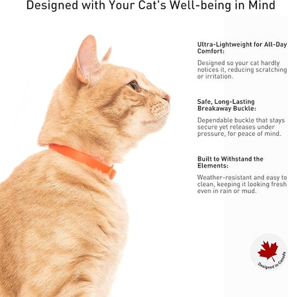 3 Pack Breakaway Cat Collar - Soft, Comfortable, and Lightweight Safety Buckle Collar with Name Tag Ring for Outdoor Cats and Sensitive Skin Kittens by Nuvuq (6 ⅞" to 10 ¼") (Black, Orange and Green)