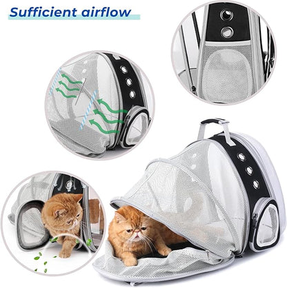 Lollimeow Cat Carrier Backpack, Expandable Bubble Pet Carrier for Cats and Small Dogs, Airline Approved Travel Backpack for Hiking, Walking & Outdoor Adventures - Supports up to 14 lbs