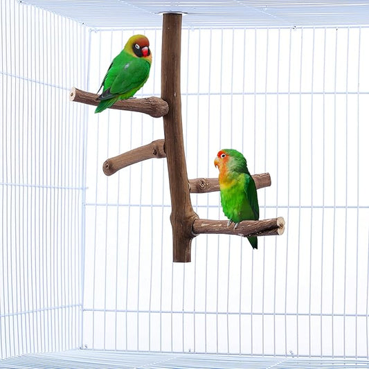 CozyCabin Natural Bird Perch Stand for Cage, Hanging Multi Branch Grapevine Parrot Perch Bird Cage Toys for Small Budgies Conure Parrot Parakeets Cockatiels Lovebirds