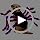 OurWarm Dog Halloween Costumes Adjustable LED Spider Costume for Large Dogs - Image 7