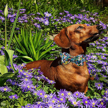 Lionheart glory Dog Collar Darkblue Flower Dog Bow Collars Floral Dog Collar with Bow Male or Female Spring Fall Pet Gift Durable Adjustable Dog Collar for Medium Dogs