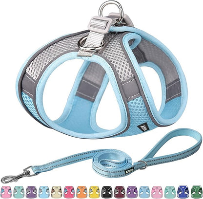 AIITLE Step in Dog Harness and Leash Set - No Pull Escape Proof Vest Harnesses with Soft Mesh and Reflective Bands, Adjustable Pet Outdoor Harnesses for Small and Medium Dogs Blue M