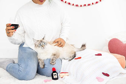 Pearhead Pet Cheese & Wine Cat Toys Set of 2 – Plush Catnip Toys with Crinkle & Rattle, Valentine’s Day Interactive Cat Toys for Indoor Cats