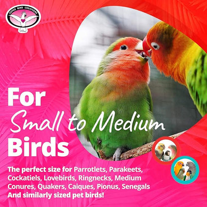 Super Bird Creations SB1086 Having a Ball Bird Toy for for Parrotlets, Parakeets, Cockatiels, Lovebirds, Ringnecks - Multi-Colored Rattle Ball, Cute Charms - Small/Medium Bird Size, 6" x 2" x 2"
