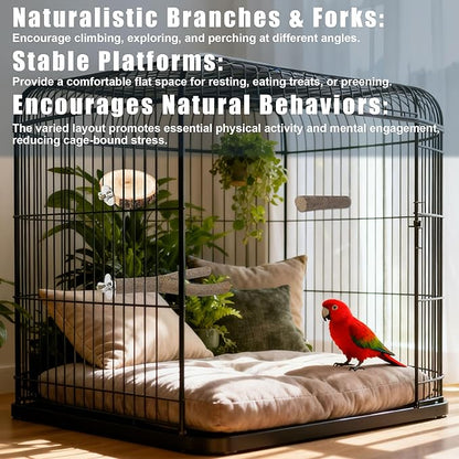 6 PCS Bird Perch Set, Natural Birch Wood Straight & Forked Perches with Platforms for Parakeets, Cockatiels, Conures, Lovebirds - Cage Accessories for Climbing & Exercise