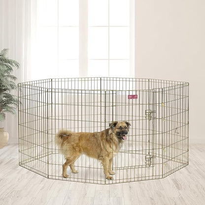 MidWest Homes for Pets Folding Metal Puppy / Dog Exercise Pen, Indoor/Outdoor Playpen with Door, 16 Sq Feet of Play Space, 36-Inches Tall, Gold Zinc