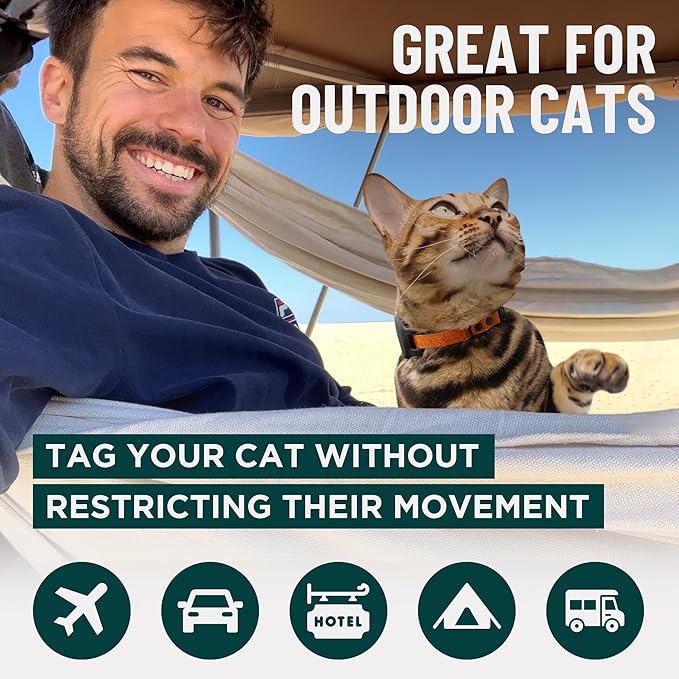 OutdoorBengal Blue Breakaway Kitten Collar - Ultra Safe Quick Release Cat Collar for Small Kittens Under 6 Months – Soft-Padded, Lightweight, Adjustable, Thin and Comfortable, No Bell (Blue, Kitten)