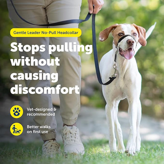 PetSafe Gentle Leader Headcollar No-Pull Dog Collar - Helps Improve Walks - Durable Nylon Construction - Padded Nose Loop - Adjustable Fit - Comfort Walking Halter - Medium, Deep Purple
