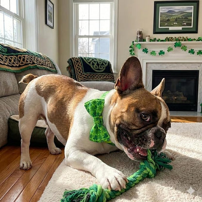 St. Patrick Day Dog Collar Adjustable Puppy Collar with Clover Pattern, Cute Pet Accessories for Small Medium Large Dogs