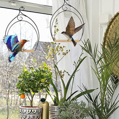 winemana Set of 3 Hummingbird Swings, Rust Resistant Metal Frame, Wooden Dowel, Attach to Bird Feeders, Perfect for Hanging Indoor Office Outdoor Trunk Lawn Patio Garden (7.4" x 5.5")