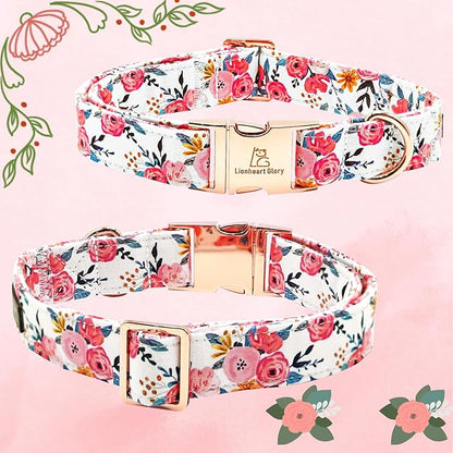 Lionheart Glory Floral Dog Collar - Soft, Durable & Adjustable for Small Dogs