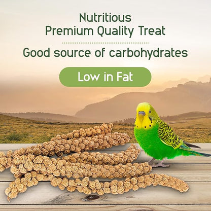 Living World – Millet Spray for Birds, 17.6 Oz – Premium Treat for Budgies, Canaries, Finches, Cockatiels and Other Pet Birds