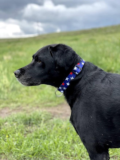 Native Pup American Flag Dog Collar- Red White and Blue- Patriotic Collars for 4th of July, USA- Adjustable Small, Medium, Large Breed Dogs (Small, Red & White Stars)