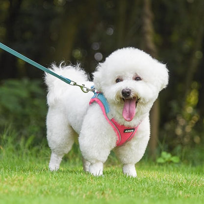 AIITLE Easy Walk Dog Harness and Leash Set - Pet Supply No Pull, Step in Adjustable Dog Harness with Padded Vest for All Weather, Dog Harness No Choke Over, Easy to Put on Medium Dogs Hot Pink L