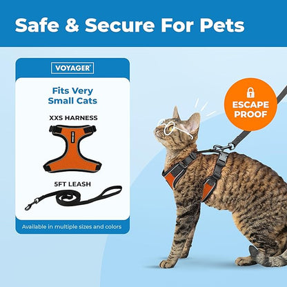 Voyager Escape-Proof Step-in Lock Cat Harness & 5ft Neoprene-Handle Leash Set All-Weather Mesh with Reflective Stitching for Small to Large Cats by Best Pet Supplies, Black Trim-Orange (327), XXS