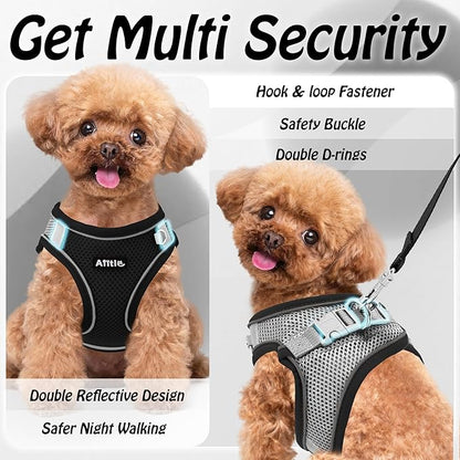 AIITLE Comfortable Dog Harness and Leash Set for Walking - Step in Vest Harness,Reflective Bands, Adjustable No Pull Puppy Essentials, for Small Dogs and House Cats Black XS