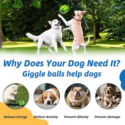 Dog Toys Ball, Interactive Dog Ball, Shaking with Gibbering Sound, for Training & Herding, M, 3.46 in (8.8 cm)