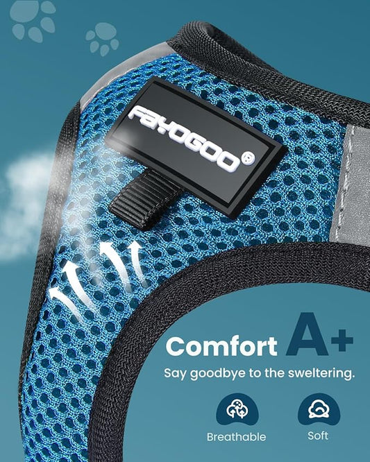 FAYOGOO Cat Harness, Cat Leash and Harness Set for Walking Escape Proof, Harness for Small Cats/Small Dogs, Large Kitten/Puppy Harness and Leash, Harness for Cats S-XXL(Tranquil Teal, Medium)