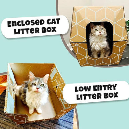 Tallest Disposable Cat Litter Box 15 Trays 2 Trays Litter Box Low Entry Original Patented Indentical Design19 Lx17 Wx8.5 17 in. Closed Box. Woman Lifelong Cat Care Sassy Uses Daily 14 yrs Made-US