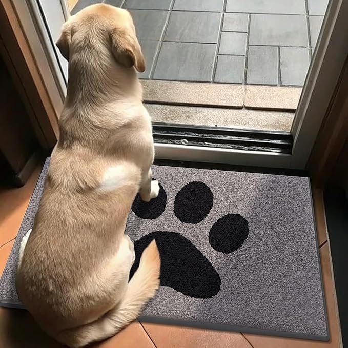 Buganda Dog Door Mat for Muddy Paws, Absorbent Dirt Trapper Non Slip Indoor Doormats, Washable Low-Profile Mat for Mud Dogs, Entryway Carpet for Inside Floor (36x24 Inches, Grey)