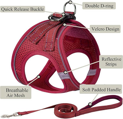 Dog Harness with Leash Set, No Pull Adjustable Reflective Step-in Puppy Pet Vest Harnesses for Small Medium Large Dogs and Cats,Red M