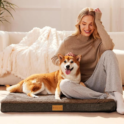 Patas Lague Orthopedic XL Dog Bed Large Sized Dog 48''X30'', Soft Waterproof Egg Crate Foam Large Pet Crate Beds Mat with Removable Washable Cover and Non-Slip Bottom, Brown