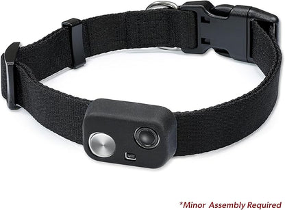 MS-5 Automatic Pet Door Collar, Genuine High Tech Pet Brand Dog Collar for Power Pet Doors - Deluxe Strap (Black, Extra Large) - DC-BLK-MS5-XL