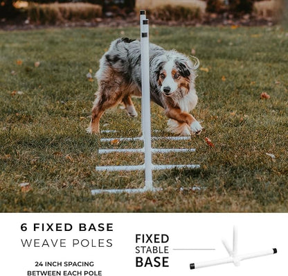 Better Sporting Dogs Complete Starter Agility Set for Dogs | 5 Piece Dog Agility Kit | Agility Jump | Tire Jump | Weave Poles | 10’ Tunnel with Sandbags | Pause Box