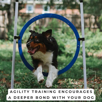 Better Sporting Dogs 4 Pack Adjustable Dog Agility Jumps w/Safety-Focused Features | 2 Bar Jumps with Cup Strips | 2 Breakaway Tire Jumps