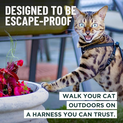 Houdini™ Escape Proof Kitten Harness and Leash Set by OutdoorBengal – Turquoise, Small Cat Harness for Walking
