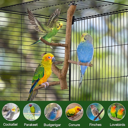 Bird Perch Stand, Natural Vitex Negundo Wood Parrot Perch Bird Cage Branch Perch, Accessories for Parakeets, Cockatiels, Conures, Macaws, Finches, Lovebirds (12" Length)