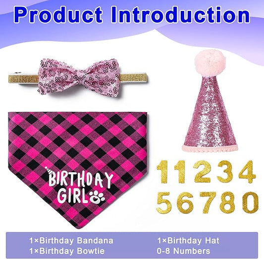 Dog Birthday Party Supplies Decorations with Dog Bandanas/Birthday Hat/Bow Tie Collar with 0-8 Numbers, for Medium Small Dogs Pets (Large, Pink)