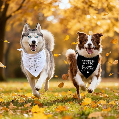 2 Pack Dog Bandanas for Pregnancy Announcement, I'm Going to Be A Big Brother Sister Cute Adjustable Pet Bandana Scarf for Small Medium Large Dogs, Gender Reveal Dogs Accessories (Black&White)