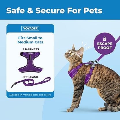 Voyager Escape-Proof Step-in Lock Cat Harness & 5ft Neoprene-Handle Leash Set All-Weather Mesh with Reflective Stitching for Small to Large Cats by Best Pet Supplies, Purple (327), S