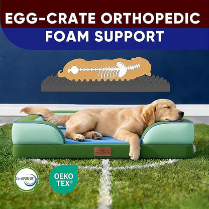 Comfort Expression Orthopedic Dog Bed for Extra Large Dogs 42x30 Inch, Waterproof Egg Crate Foam XL Pet Bed with Removable Bolsters, Dog Couch with Washable Cover & Non-Slip Bottom, Boston