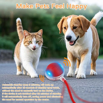 2025 New 2Pack Cat Ball Kitten Toys for Indoor Interactive Kitty Ball Toy Speedy Tail 360° Automatic Rolling(Red Grey)