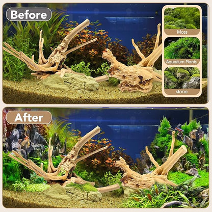 Jorewood Natural Large Spiderwood Driftwood for Aquarium Decor Rptile Fish Tank Decoration Assort Branch 13-16'' Pack of 1
