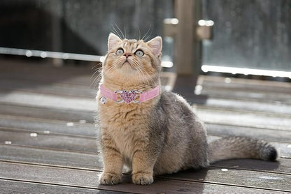 Heart Bling Cat Collar with Safety Belt and Bell Adjustable 8-10 inches for Kitten Cats (Pink)