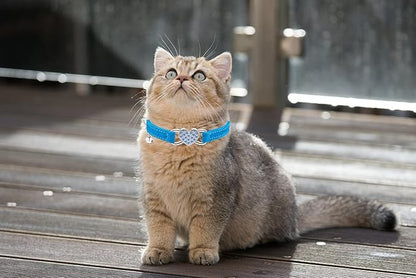 Heart Bling Cat Collar with Safety Belt and Bell Adjustable 8-10 inches for Kitten Cats (Blue)