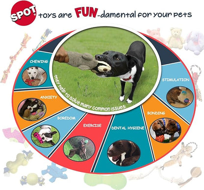 SPOT Sensory Ball Dog Toy for Soft Chewers – 3.25-Inch Durable TPR Rubber Ball with Squeaker and Bell, Textured for Gentle Chewing, High-Contrast Colors for Indoor & Outdoor Fetch Play