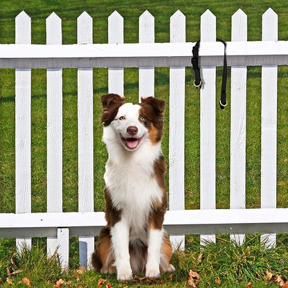 PetSafe KeepSafe Collar for Dogs - Protects Against Collar Accidents - Long Lasting - Durable - Adjustable - Breakaway - Outdoor-Safe - Medium - 3/4 In. Wide - Blue