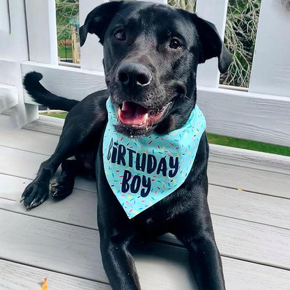 Birthday Boy Dog Bandanas 1 Pack, Blue Birthday Dog Scarfs, HBD Pet Scarves for Birthday Boy Party Bandanas for Medium and Large Dogs (Blue, Large)