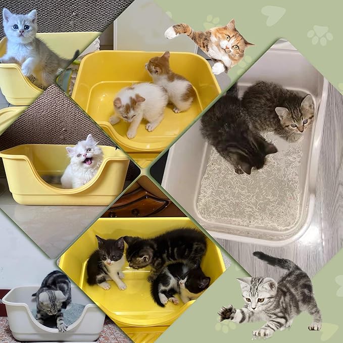 2 Pack Low Entry Small Litter Box for Kittens, Kitty Plastic Litter Boxes, Open Top, Anti-Splash High Sided Litter Tray Pan for Medium Pets, Puppy, Easy to Clean, 15.7" L*11.8" W*6.7" H (Grey)